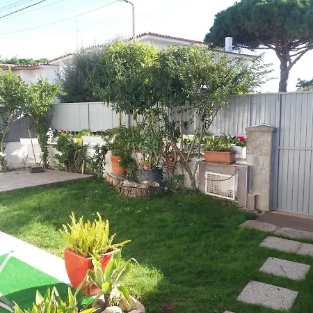 Traditional In S Pedro , Estoril Alapraia