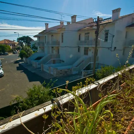 Traditional In S Pedro , Estoril *